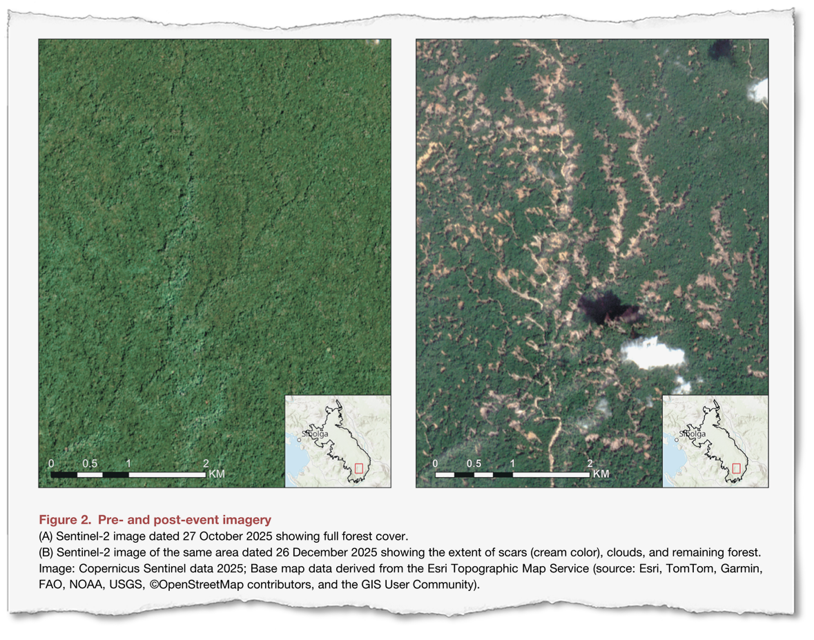 Researchers used satellite imagery to analyze the impact of landslides triggered by a cyclone last November on the habitat of the Tapanuli orangutan, in Sumatra. They determined the slides destroyed about 32 square miles of forest and likely killed some 58 orangutans.