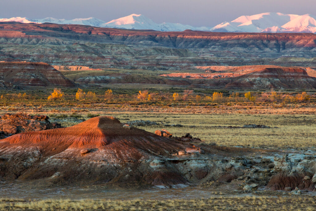 Public Lands Are at the Forefront of Wyoming’s Primaries