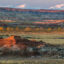 The Bobcat Draw Badlands Wilderness Study Area in Washakie County, Wyoming, encompasses 17,150 acres of land managed by the federal government. Credit: Bob Wick/BLM
