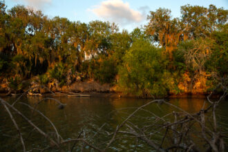 The lower Nueces River at Calallen, Texas, on March 30. Credit: Dylan Baddour/Inside Climate News