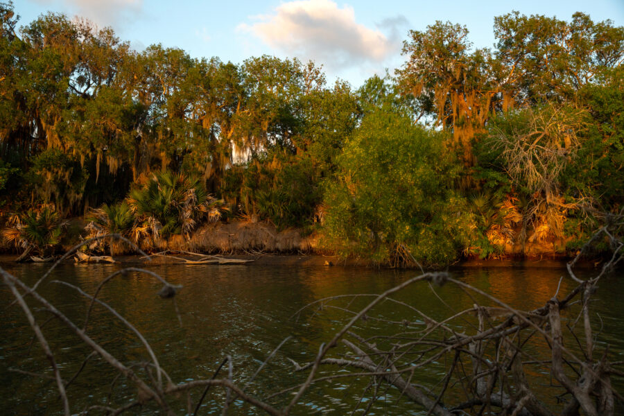 The lower Nueces River at Calallen, Texas, on March 30. Credit: Dylan Baddour/Inside Climate News
