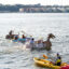 Contestants race cardboard kayaks on the Hudson River from Pier 84 in Manhattan on July 23. Credit: Jake Bolster/Inside Climate News