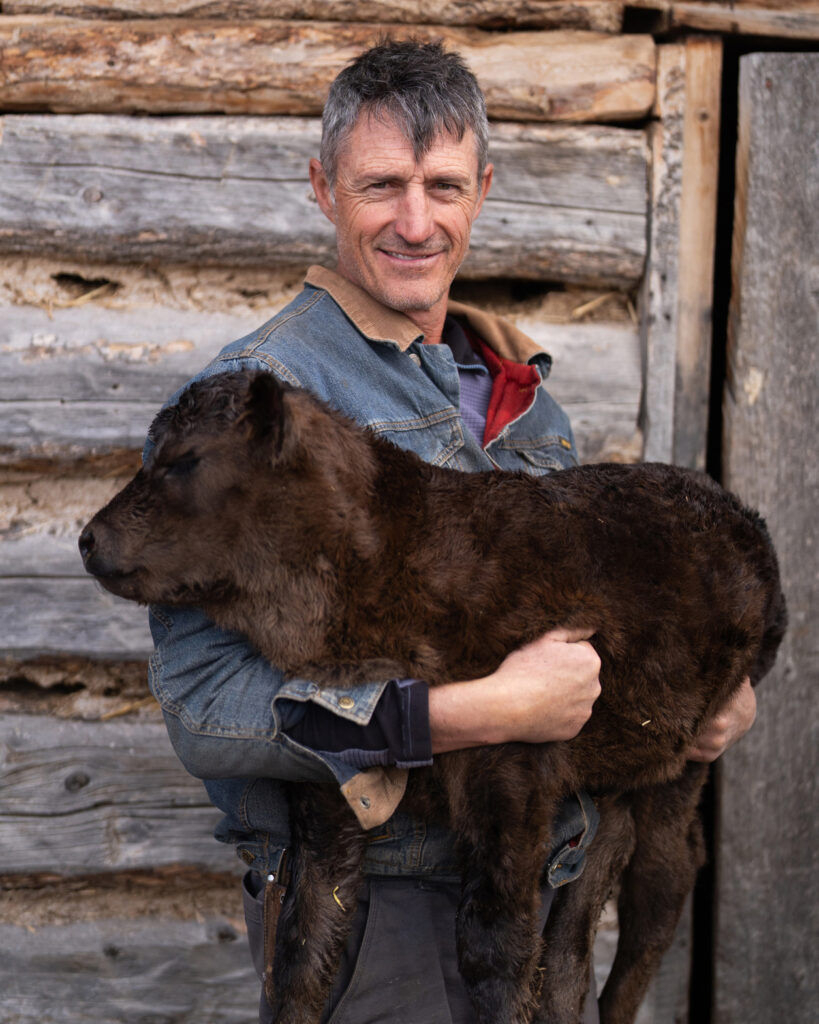 Rick Davie is upset wolves are back in Colorado, and worries for the future of his ranch.