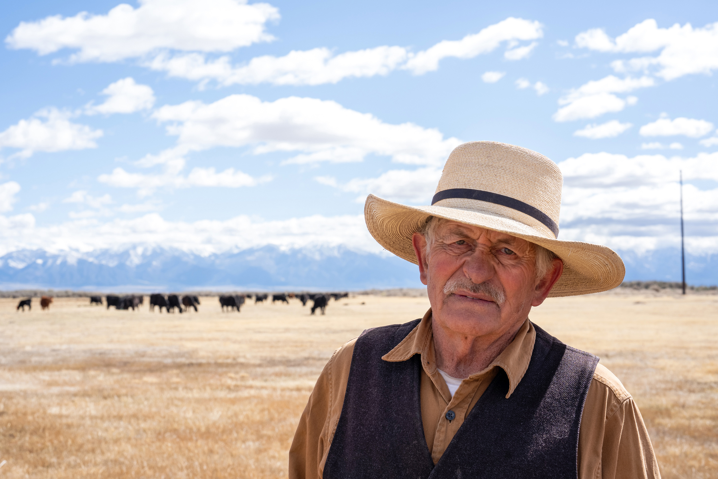 George Whitten runs a regenerative ranch in the San Luis Valley, and believes he can teach wolves to largely leave his cattle alone.