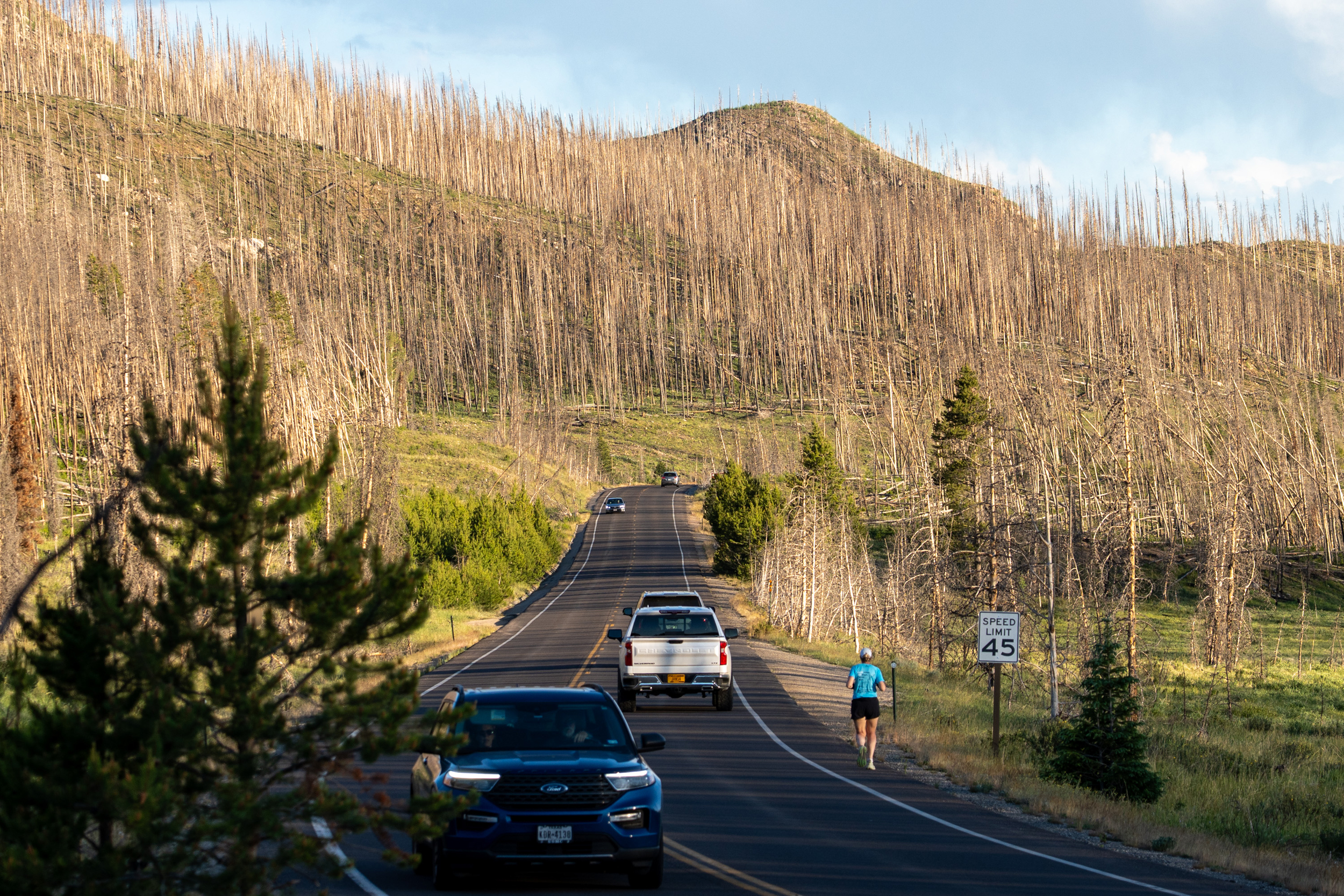 Mina Guli runs through a stand of dead trees near the headwaters of the Colorado River on June 21. Credit: Andrew King