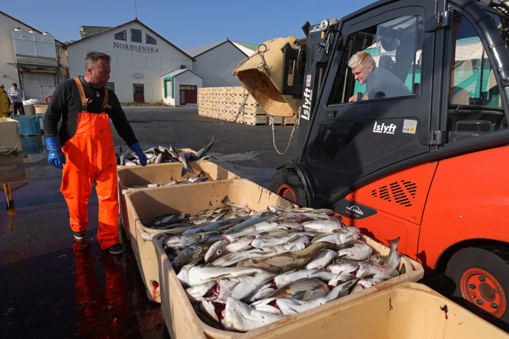 Thumbnail for Why Iceland Chose Fish Over European Alliances