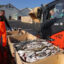 Fishermen sort their catch of cod and pollack on Aug. 16, 2021, in Höfn, Iceland. Credit: Sean Gallup/Getty Images