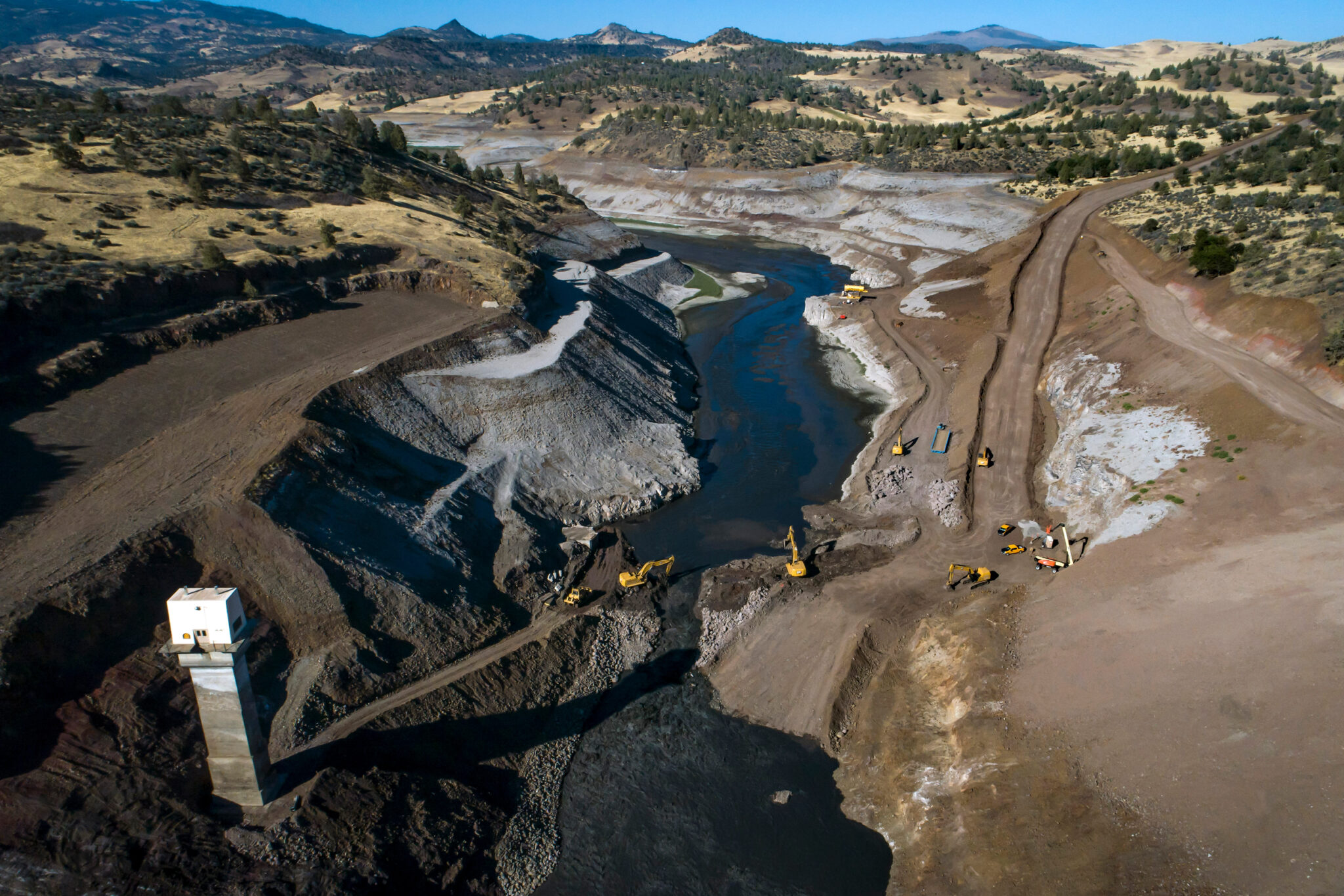 20,000 salmon return to the Klamath river after dam removal