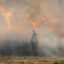 A firefighter faces a wall of flames as the Sandy Fire burns on May 19 in Simi Valley, Calif. Credit: Blake Fagan/AFP via Getty Images