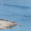 Boats are seen in the Boulder Basin of Lake Mead on July 25 in Nevada. Credit: Ethan Miller/Getty Images