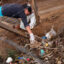 A resident of Guatemala’s Santa María Xalapán mountains gathers litter, most of it plastic, from under a fence along the road through the region during a community cleanup organized by Soila Elizabeth Cruz.