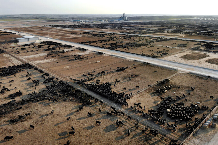 An aerial view of confinement lots at Blackshirt Feeders in Dundy County, Nebraska. Credit: Sonya Doctorian/Inside Climate News