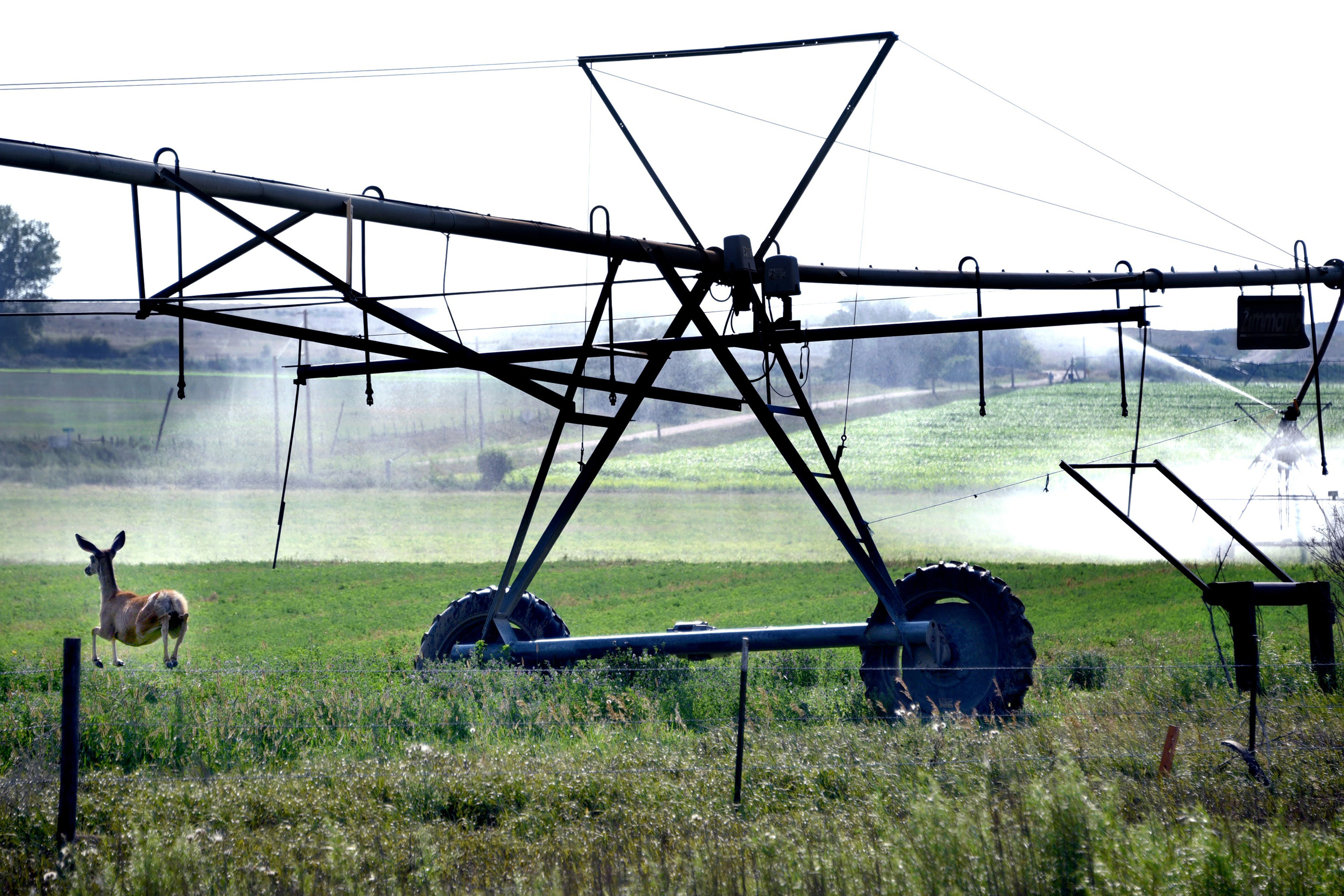 A central pivot irrigation system waters a corn field on a 97-degree summer afternoon in Dundy County, Nebraska. Credit: Sonya Doctorian/Inside Climate News