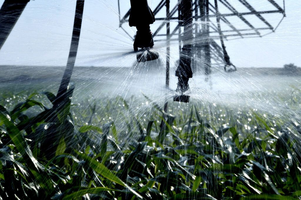 A central pivot irrigation system waters a corn field on a 97-degree summer afternoon in Dundy County, Nebraska. Credit: Sonya Doctorian/Inside Climate News