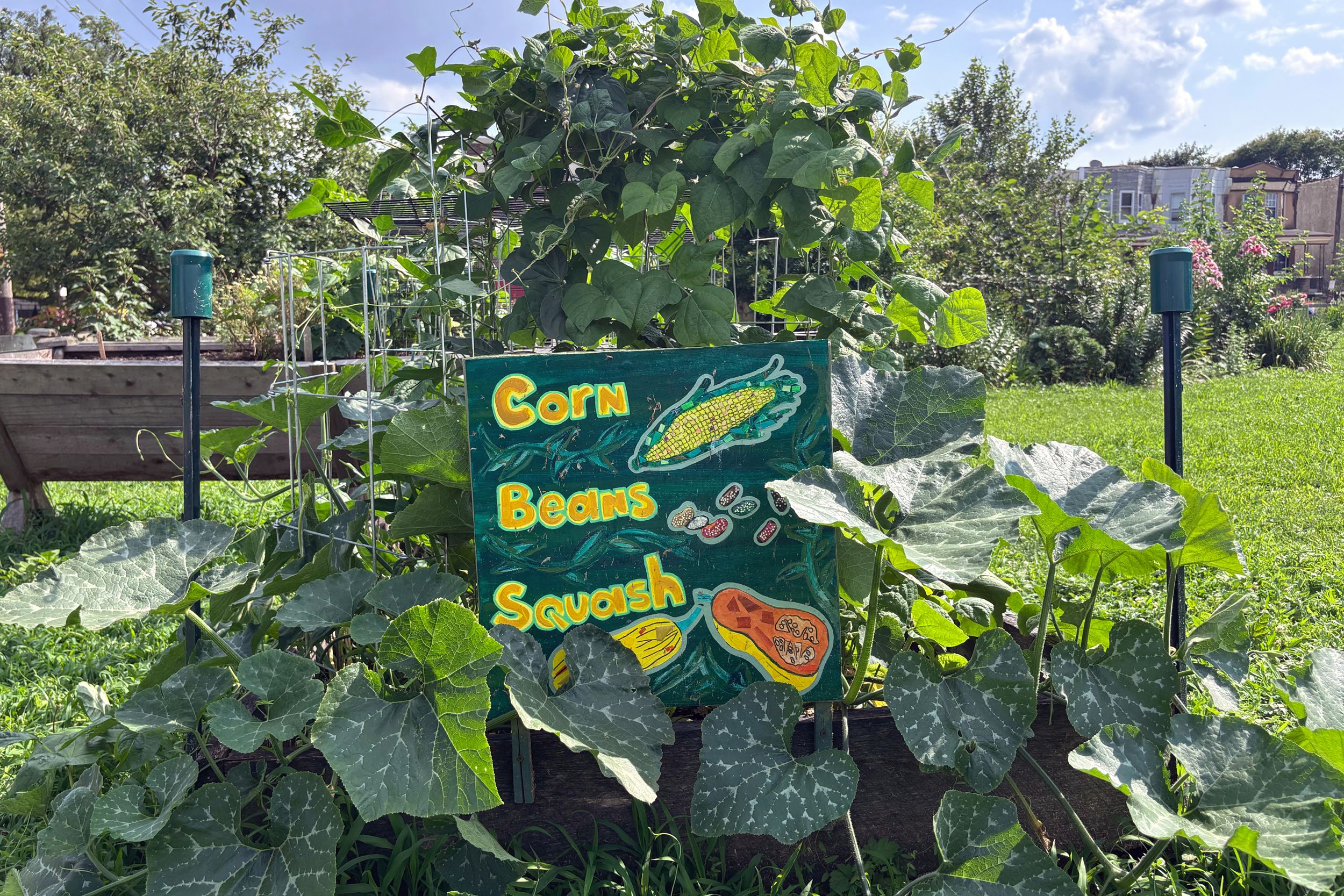 Flowers and organic produce grow in the Tioga-Hope Park and Garden in North Philadelphia. Credit: Nina Sablan/Inside Climate News