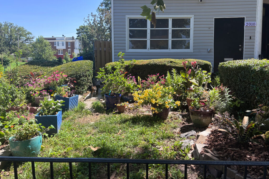 Estelle Vaughn’s front yard is filled with flowers. Credit: Nina Sablan/Inside Climate News