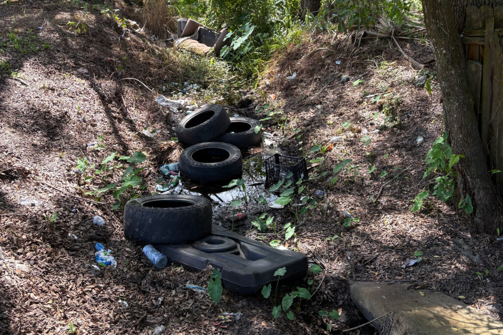 The ponds in the University Area are designed to help prevent flooding, but they can contribute to high water when clogged with excess debris or vegetative overgrowth, like this stream. Credit: Amy Green/Inside Climate News