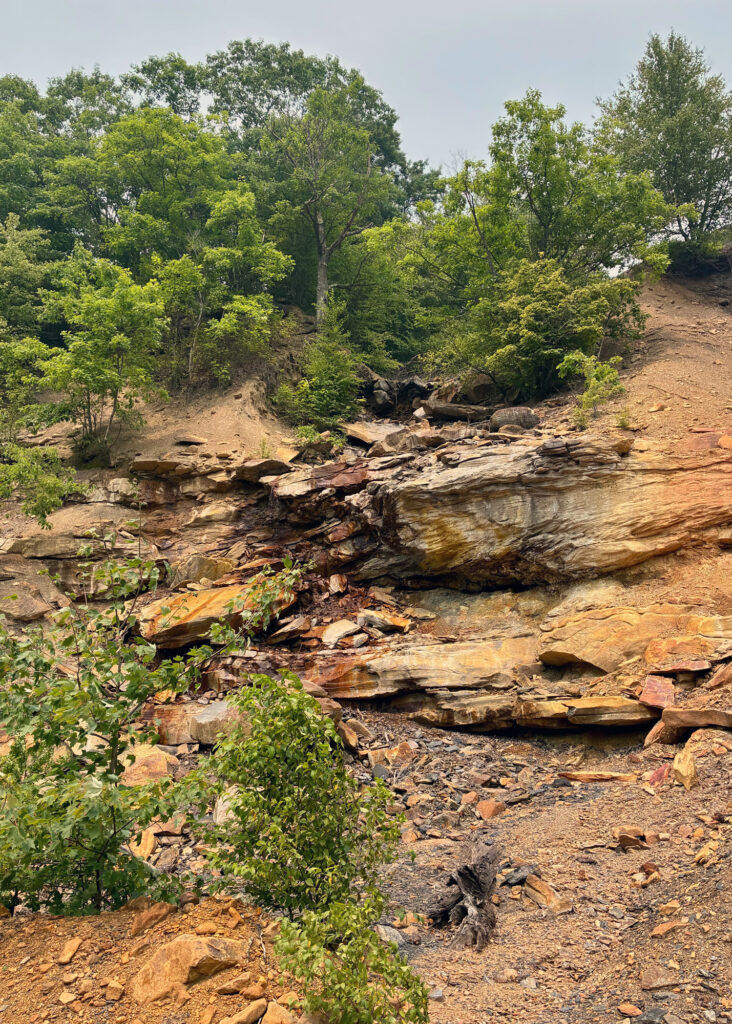 Along the rocky ravine of the Paint Creek in western Pennsylvania are the colorful signs of contamination from a nearby waste coal pile. Credit: Kyle Bagenstose/Inside Climate News