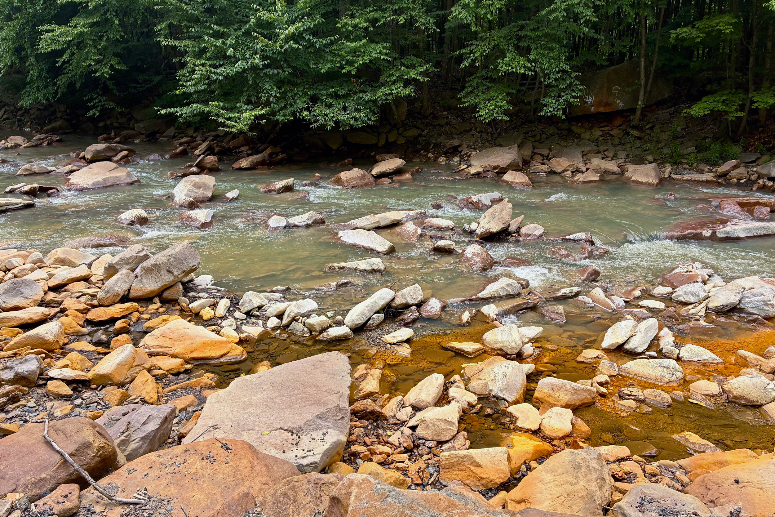 The Paint Creek in western Pennsylvania shows the telltale signs of coal contamination: orange from iron, milky white water from aluminum, and other toxic metals likely invisible beneath the surface. Credit: Kyle Bagenstose/Inside Climate News