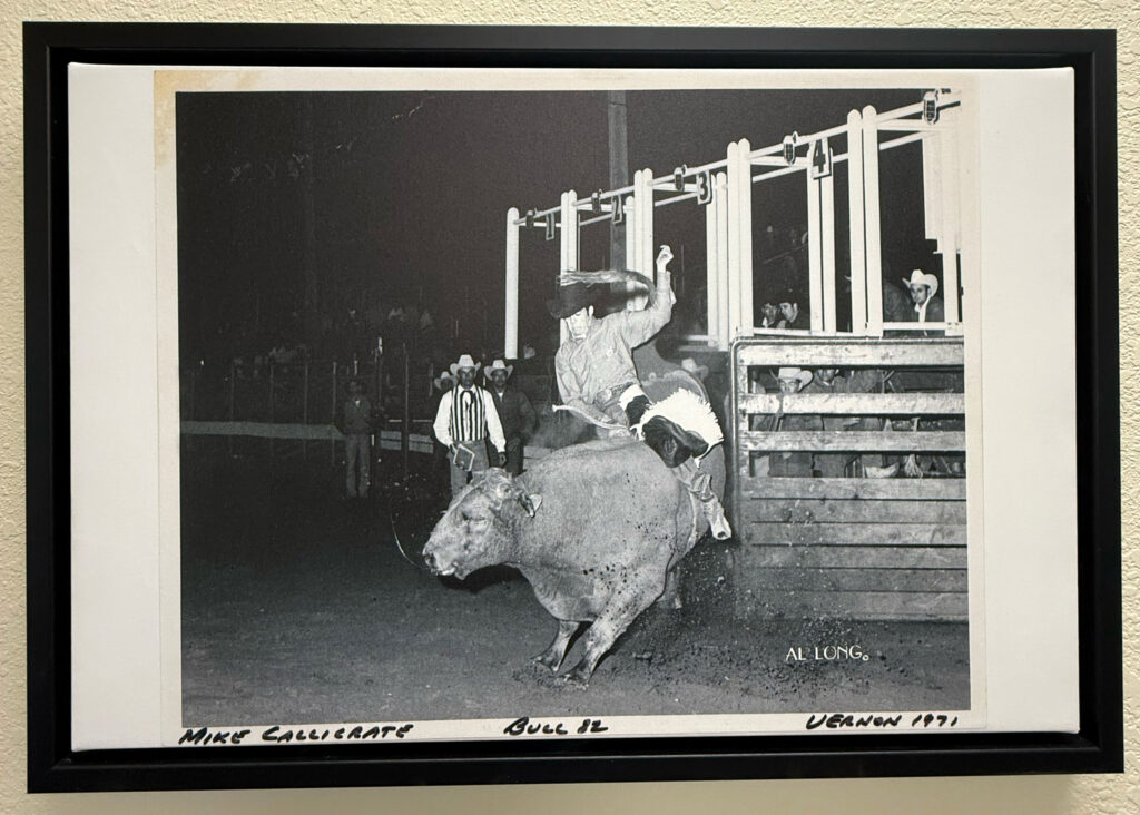 A photo of Mike Callicrate rodeoing in 1971 hangs on the wall of his office in St. Francis, Kan. Credit: Georgina Gustin/Inside Climate News