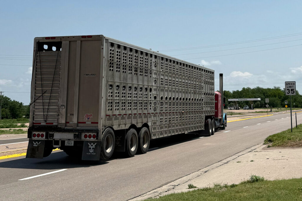 A “cattle pot” trailer travels down Highway 34, which runs through Haigler. The highway has become a major artery for transporting cattle. Credit: Georgina Gustin/Inside Climate News