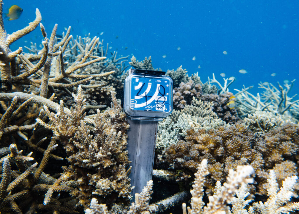 A sound recorder on a reef. Credit: Rizky Madjid