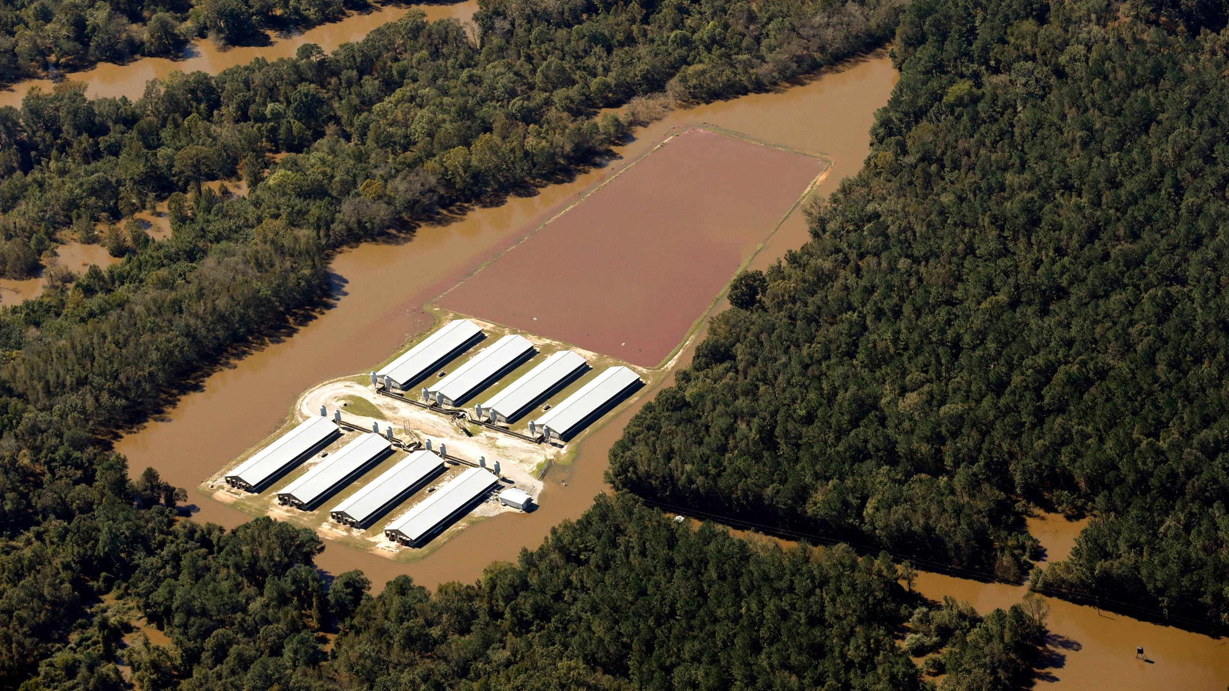 Hurricane Matthew inundated many swine CAFOs throughout eastern North Carolina in 2016. Credit: Rick Dove