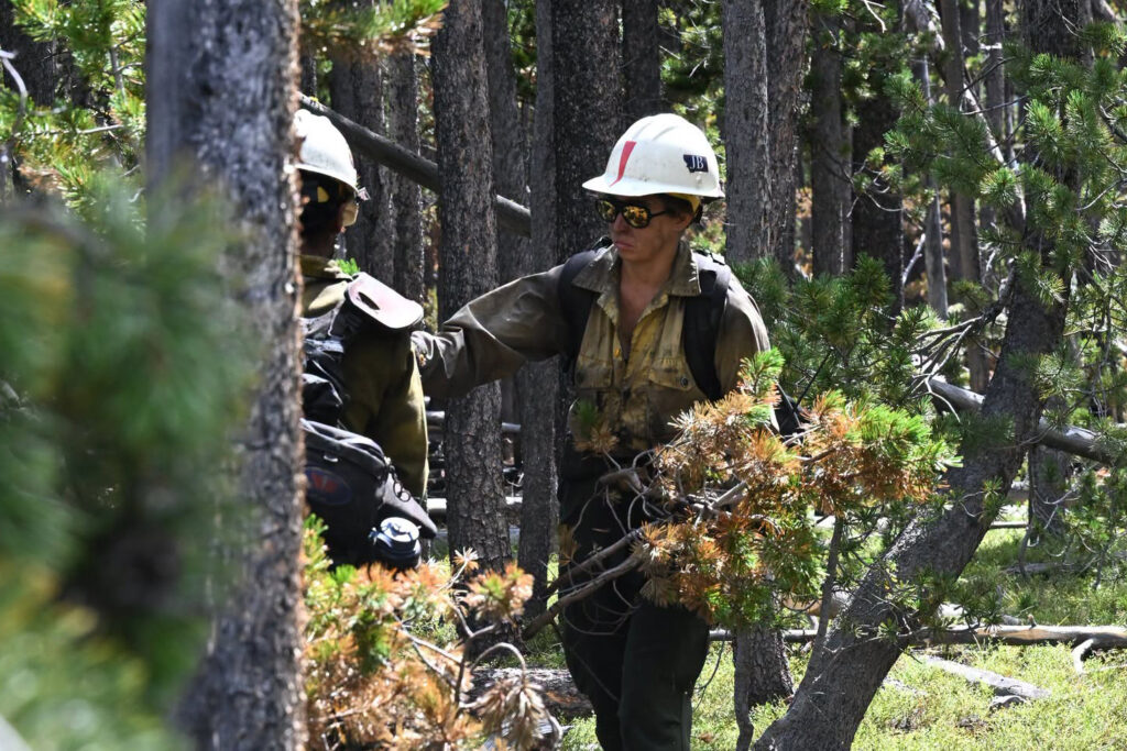 Firefighters work in a forest as the Bobcat Lakes Fire burns in southwestern Montana on Wednesday. Credit: Beaverhead-Deerlodge NF Wildland Fire Information