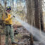 A firefighter works to secure the Moose Fire perimeter on Monday in the Beaverhead-Deerlodge National Forest. Credit: Beaverhead-Deerlodge NF Wildland Fire Information