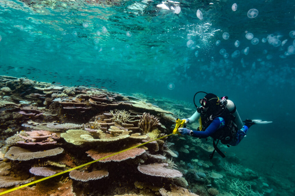EnviroWireDaily — Coral Reefs Can Recover But Relentless Marine Heat Waves Won’t Let Them