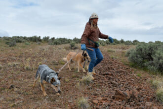 Katie Fite, public lands director for WildLands Defense, walks with her dogs near a lithium project in the McDermitt Caldera area of Oregon on May 4, 2025. Credit: Wyatt Myskow/Inside Climate News