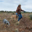 Katie Fite, public lands director for WildLands Defense, walks with her dogs near a lithium project in the McDermitt Caldera area of Oregon on May 4, 2025. Credit: Wyatt Myskow/Inside Climate News