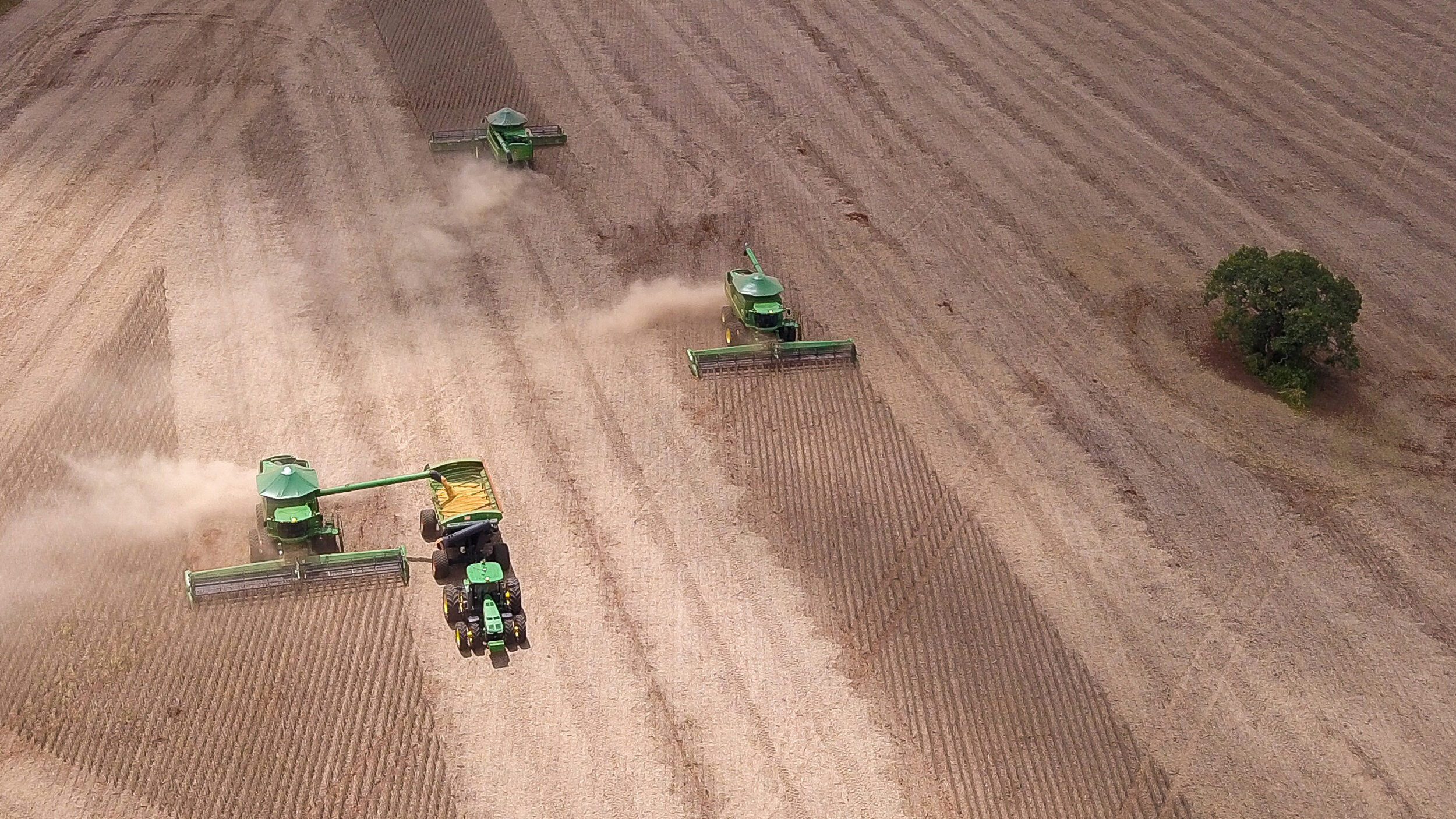 Soybeans are harvested at a farm in Montividiu, Brazil. Credit: Sergio Lima/AFP via Getty Images