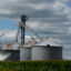 Grain bins sit at the edge of a cornfield near West Union, Iowa. Credit: Scott Olson/Getty Images