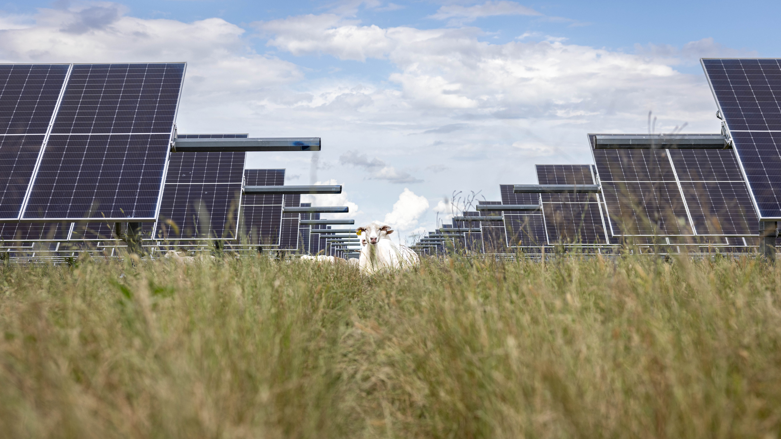 These States Are Leading the Electricity Generation Boom
