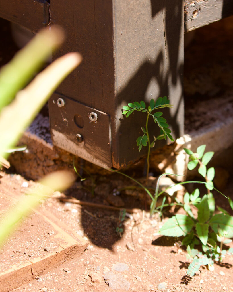 In June, Doug Reynon walked around the property where his partner's house was destroyed by the 2023 Lahaina wildfire. He pointed to construction flaws and safety hazards in the work done by two contractors they hired to help build a porch, construct an enclosed shed for a laundry machine and prep their lot for workers to connect their new home to electricity and water.