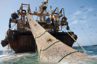 The Helen Mary, measuring 380 feet, hauls in catch. Credit: BLOOM/Pierre Gleizes