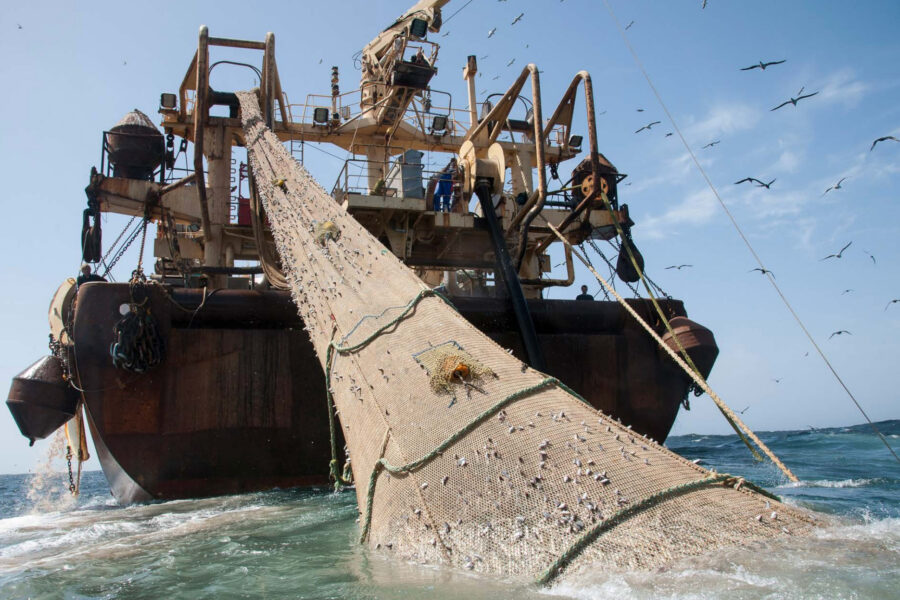 The Helen Mary, measuring 380 feet, hauls in catch. Credit: BLOOM/Pierre Gleizes