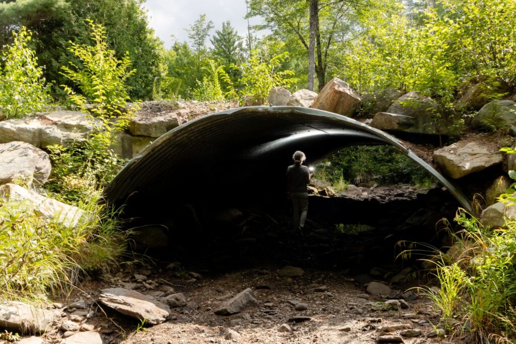 After the Cherryfield dam replacement, the Narraguagus River will be prime habitat for endangered Atlantic salmon. Credit: Katherine Emery/The Maine Monitor