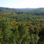 A view of Ottawa National Forest in Michigan’s Upper Peninsula. Credit: U.S. Forest Service