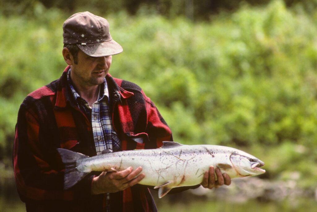 Men with Narraguagus salmon caught off Cable Pool Park in Cherryfield in the 1980s, before the recreational fishery closed and Atlantic salmon were listed as endangered. Credit: Jim Blakeslee, courtesy of the Downeast Salmon Federation