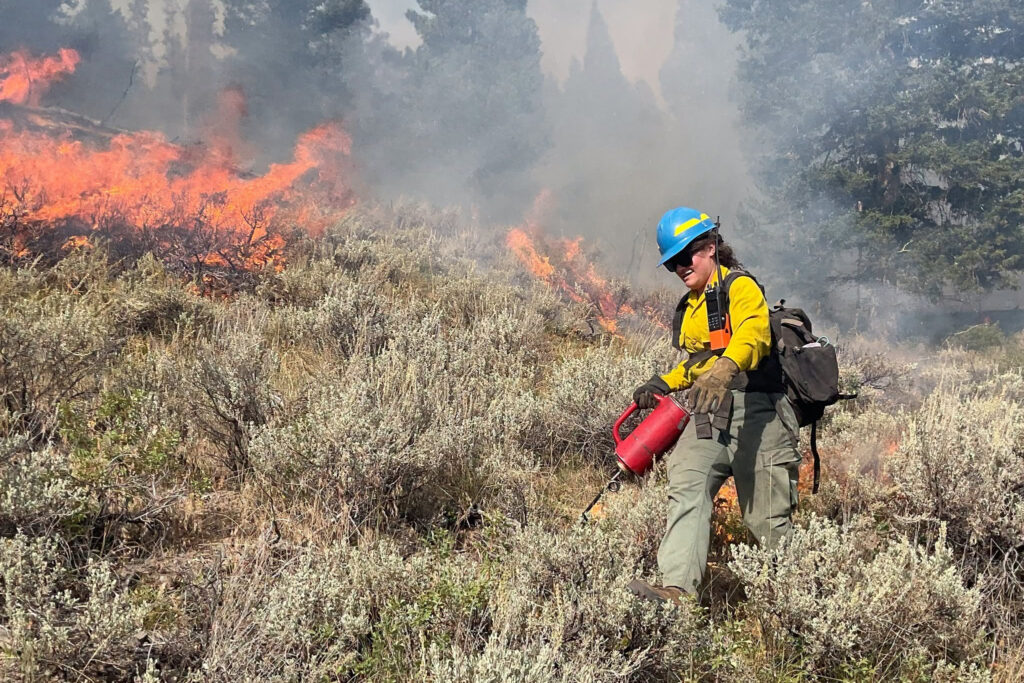 Why Montana Firefighters Are Intentionally Burning Areas Around Two Wildfires