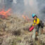 A firefighter assigned to the Bobcat Lakes Fire uses a drip torch to ignite unburned vegetation as part of a firing operation on Aug. 30. Credit: Northern Rockies Complex Incident Management Team