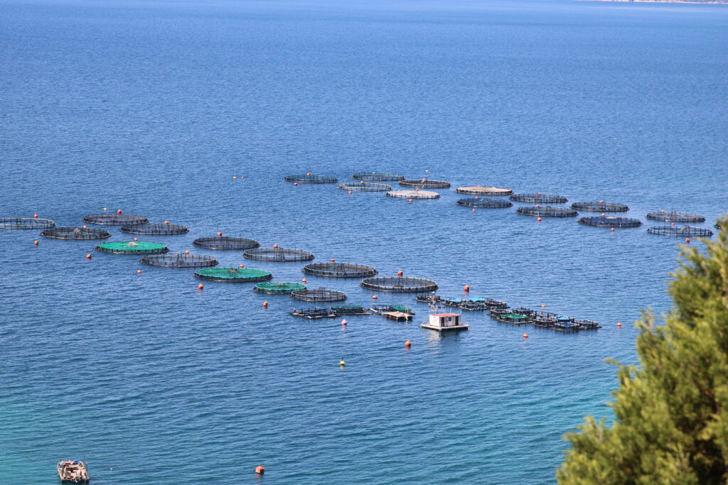 Fish farms along the Xiromero coastline in Greece. The local municipality has submitted an appeal to the country’s highest court opposing proposed expansion plans. Credit: Johnny Sturgeon/The Outlaw Ocean Project
