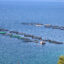 Fish farms along the Xiromero coastline in Greece in 2026. The local municipality has submitted an appeal to the country’s highest court opposing proposed expansion plans. Credit: Johnny Sturgeon/The Outlaw Ocean Project