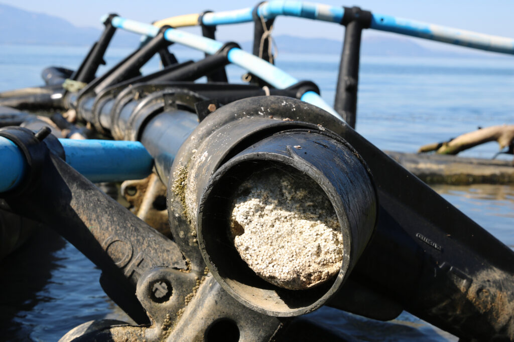Polystyrene pellets exposed by cracked aquaculture infrastructure. Such pellets litter beaches nationwide amounting to one third of Greek coastal trash. Credit: Ryan Green/The Outlaw Ocean Project