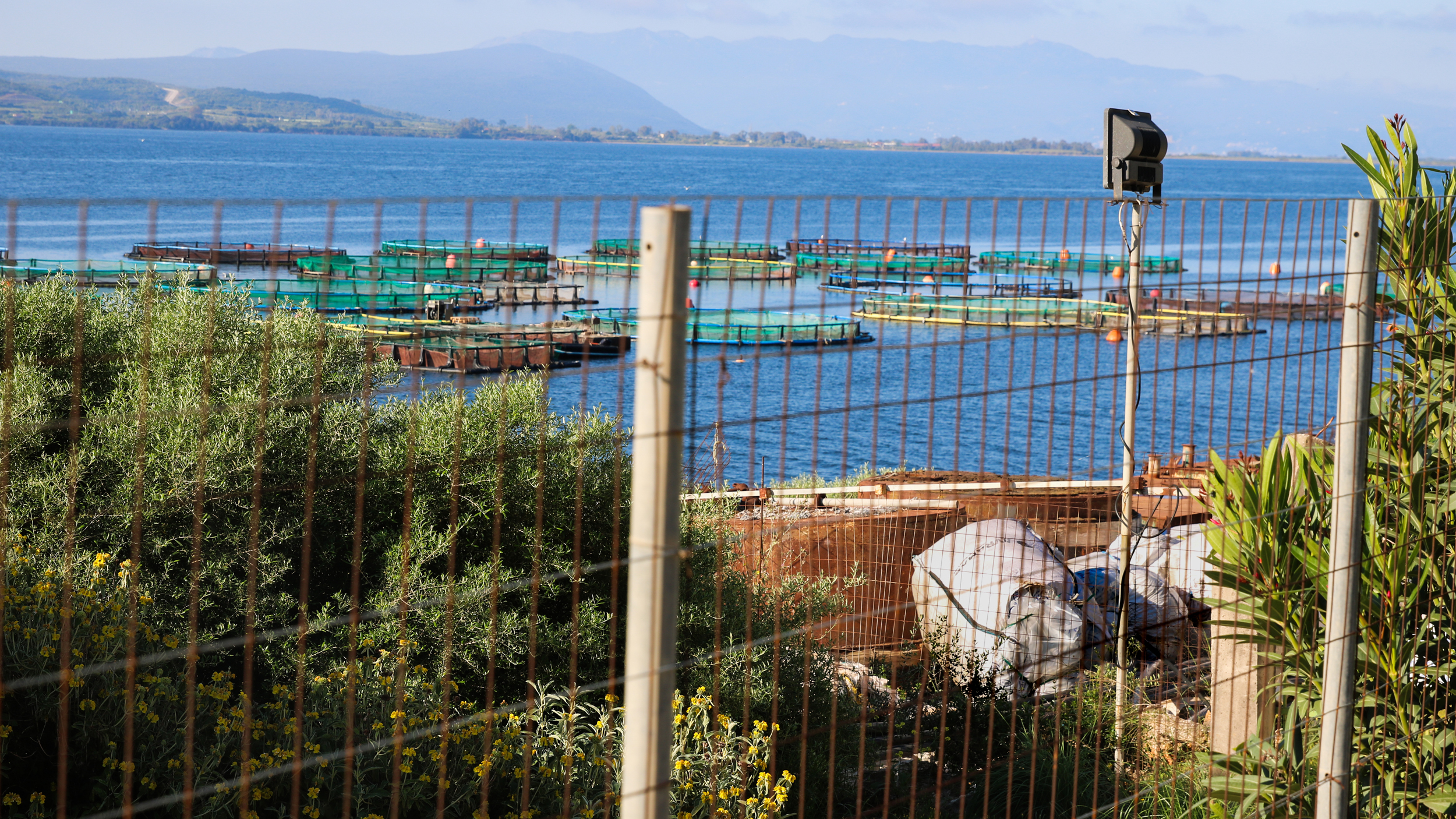 An Avramar feed bag outside an aquaculture facility in the Ambracian Gulf of  Greece. The fishmeal and fish oil industry has been criticized in Greece and elsewhere for “food colonialism.”  Credit: Johnny Sturgeon/The Outlaw Ocean Project