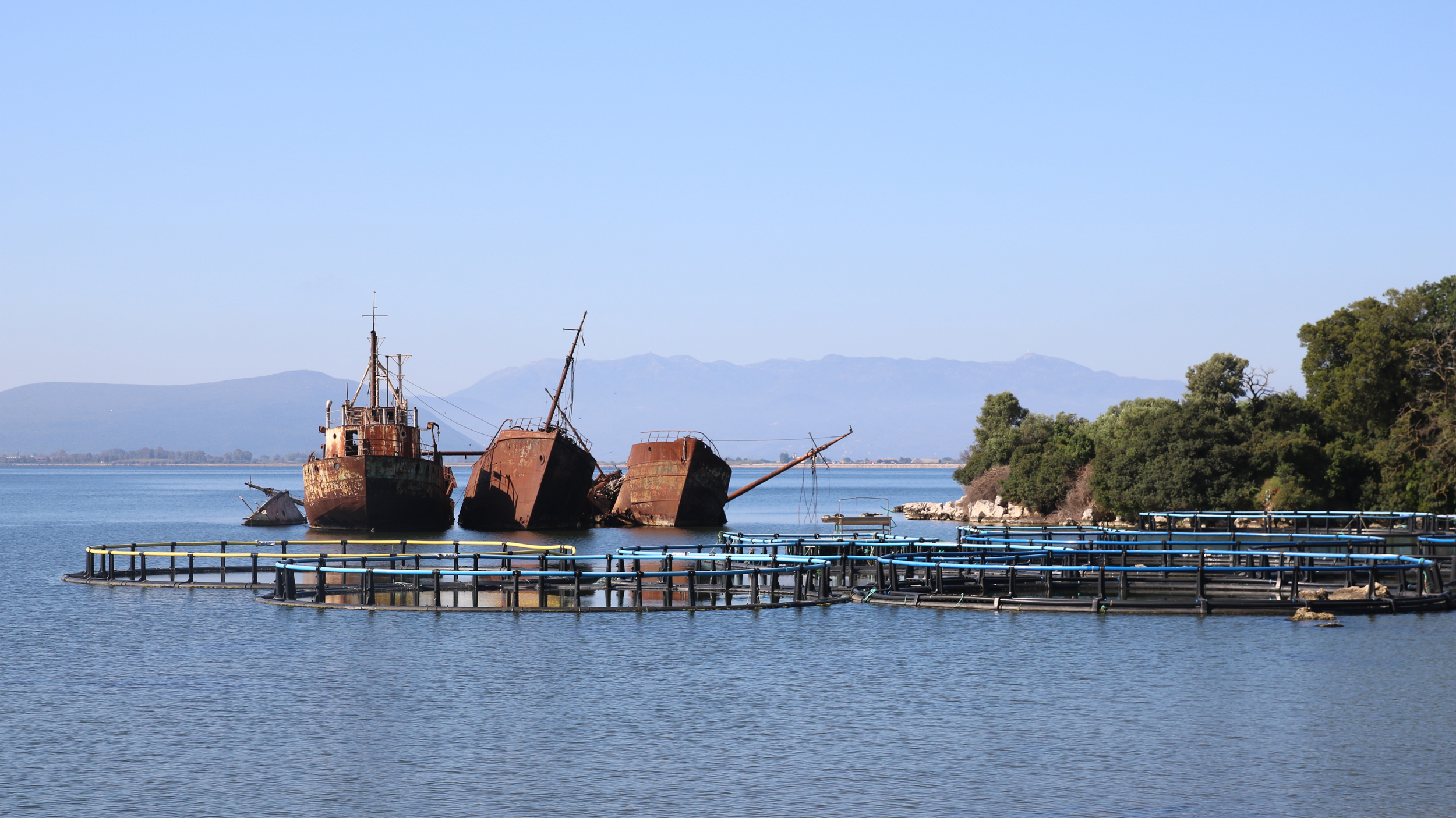 Derelict ships and fish farms near Preveza, Greece. Abandoned farms leach microplastics and release Styrofoam pellets, while their nets trap living creatures like crabs. Credit: Ryan Green/The Outlaw Ocean Project