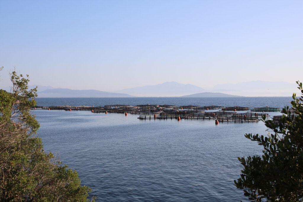 Pens are placed within one hundred meters of the shoreline. Despite the industry’s close proximity to the coastline, their operations remain opaque to many Greeks. Credit: Ryan Green/The Outlaw Ocean Project