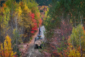 Logging equipment moves through a forest in central Maine. Credit: Preston Keres/USDA Forest Service